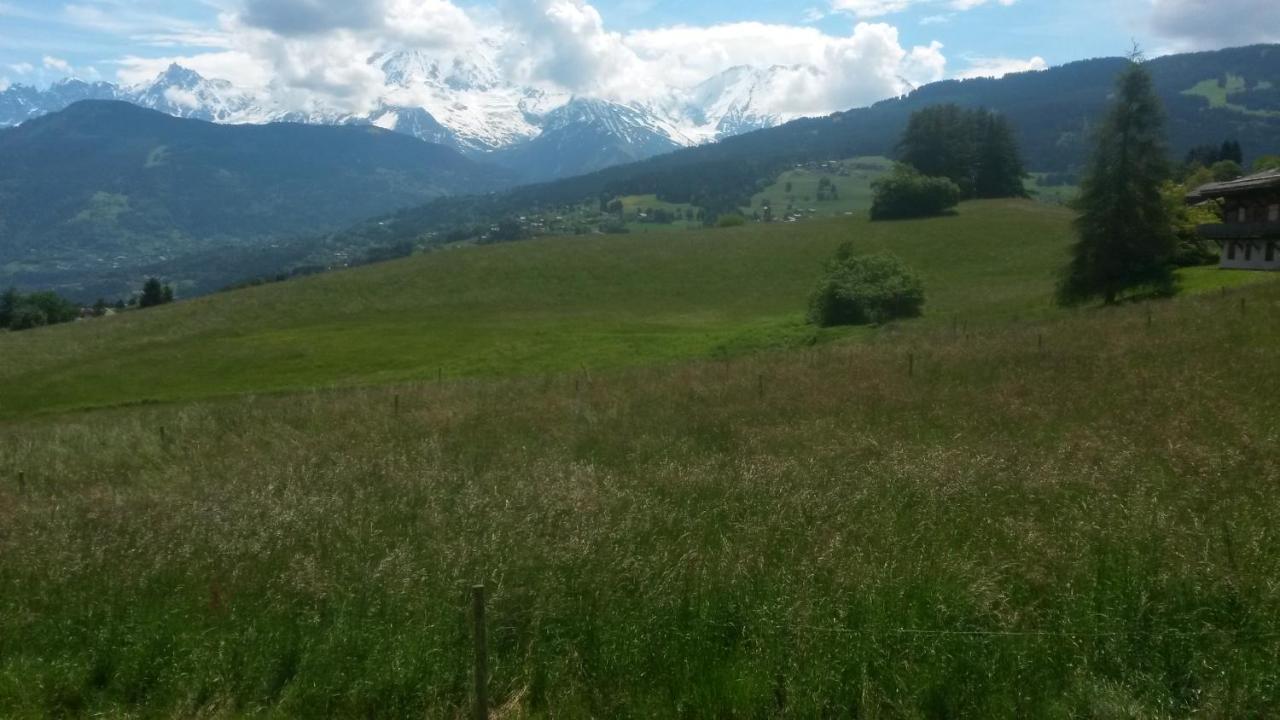 Rez De Chaussee Tres Calme Vue Mont-Blanc Combloux Quarto foto